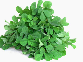 Fenugreek Extract