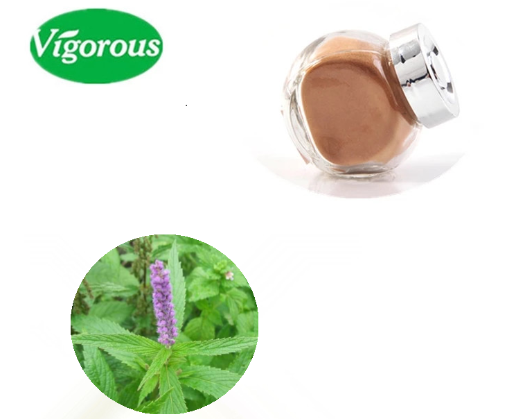 Elsholtzia Ciliata Extract